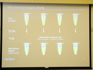 Biotechnology in food safety