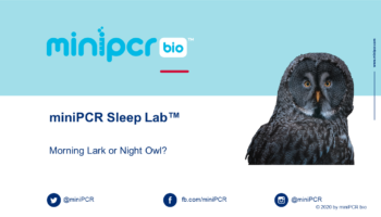 2020 Sleep Lab Webinar Cover