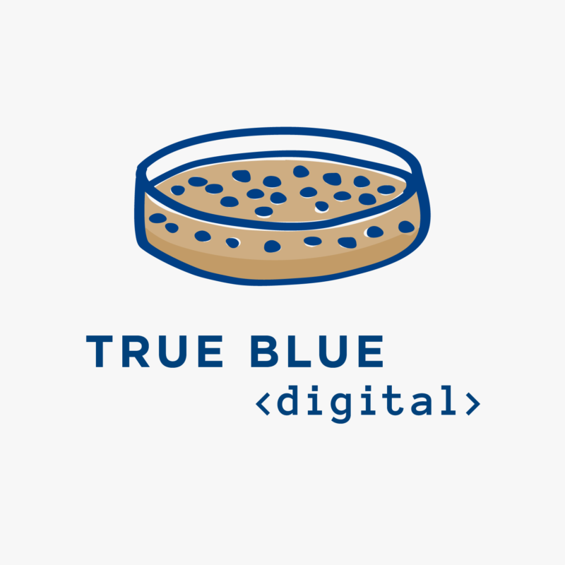 True Blue Digital Lab