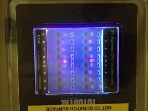 PCR results on gel