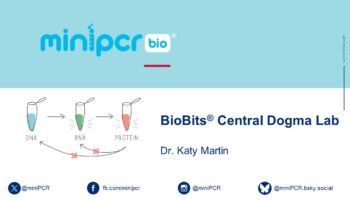 Central dogma_webinar_v1