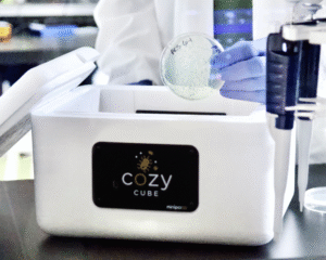 Cozy Cube in the lab alongside a grown plate of bacterial colonies