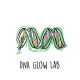 DNA Glow Lab™: Exploring DNA Structure