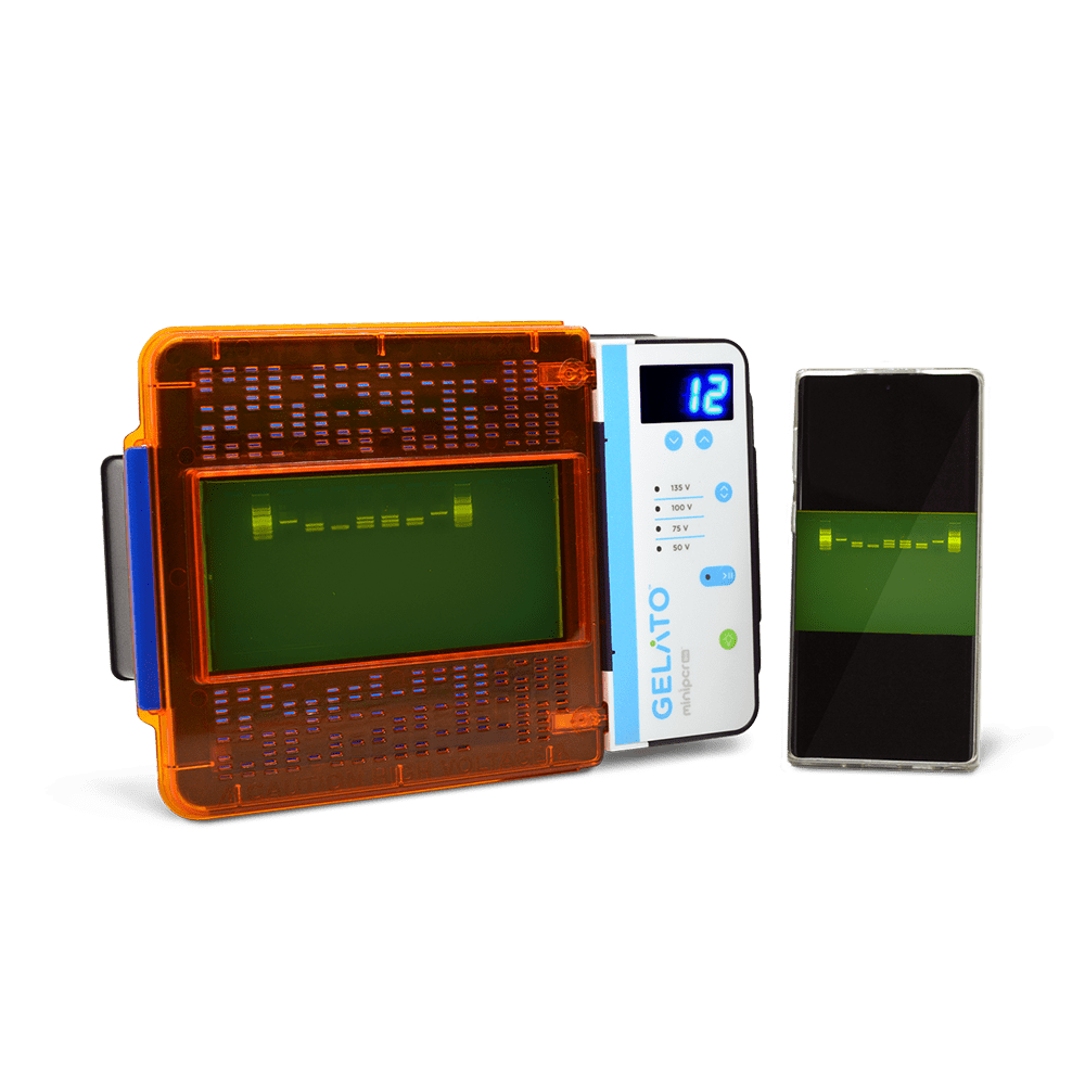 miniPCR® mini16 thermal cycler – miniPCR bio