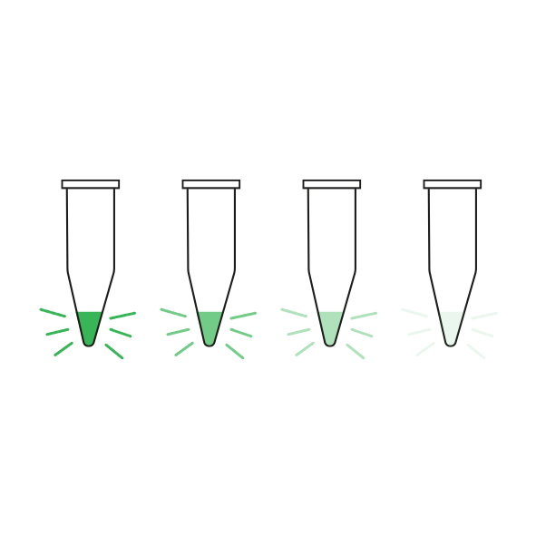 Glowing Gradients: Exploring Fluorescence Through Serial Dilution