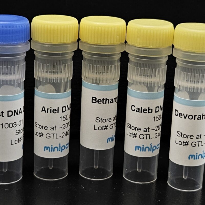 Inherited Cancer Risk Lab: Lynch Syndrome – miniPCR bio