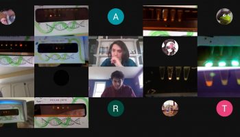 Mrs. L’Ecuyer’s biotechnology students show off their final lab results on Google Meet.  
Photo credit: Lindsey L’Ecuyer @AHSbiotech