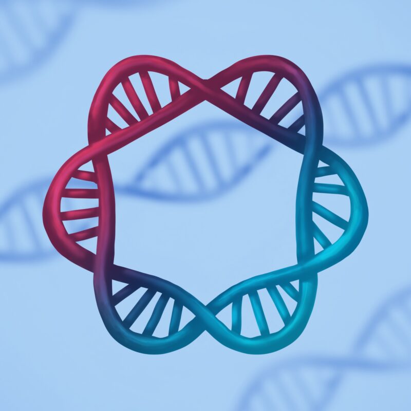 Plasmid DNA Restriction Mapping Lab