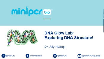 Screenshot 2026-03-30 165417