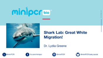 Shark Lab Webinar v6_TO USE.pptx
