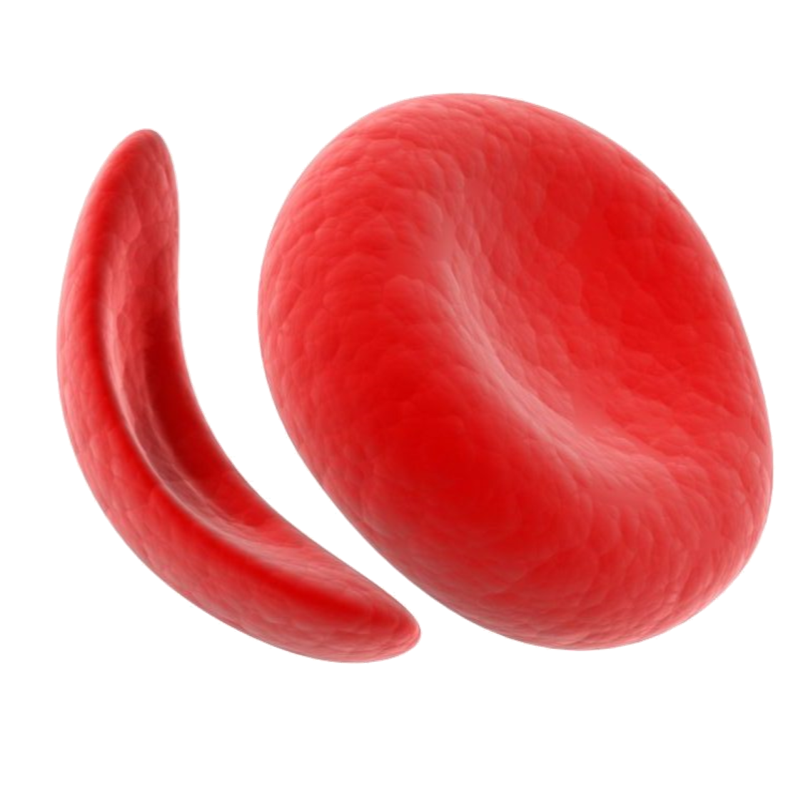 Ruby-Cell STEMBIOME ディープクレンジング　バランシングトナー 365Ruby-Cell