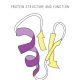 BioBits®: Protein Structure and Function