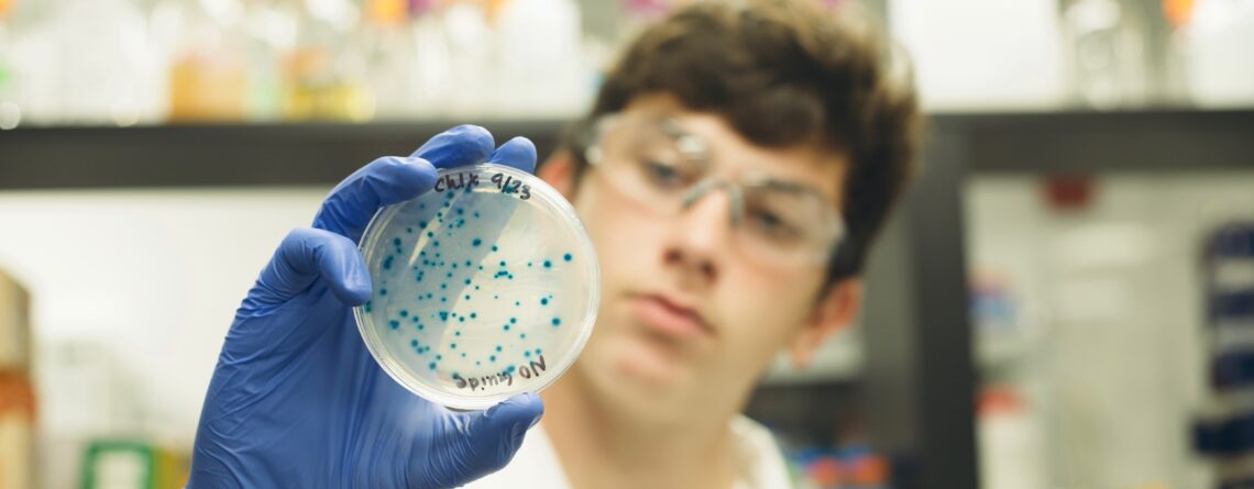 student holding a KnockOut lab plate