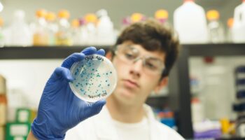 student holding a KnockOut lab plate
