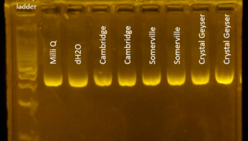 Water PCR results