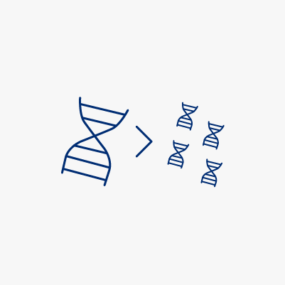 PCR