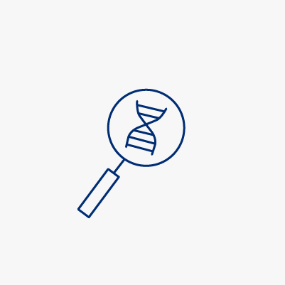 Research projects