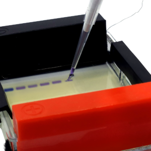 bandit duo_pipetting gel_1200x1200 px_render