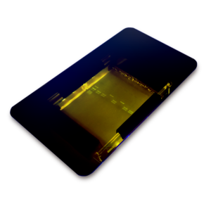 bandit duo_results_no background_1200x1200 px_render