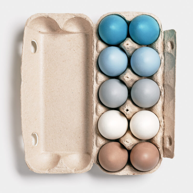 Blue Egg Chicken DNA Test