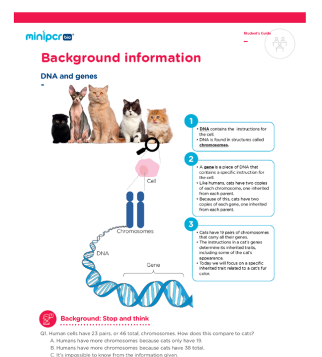 Visual lab guides for introductory bio classes – miniPCR bio