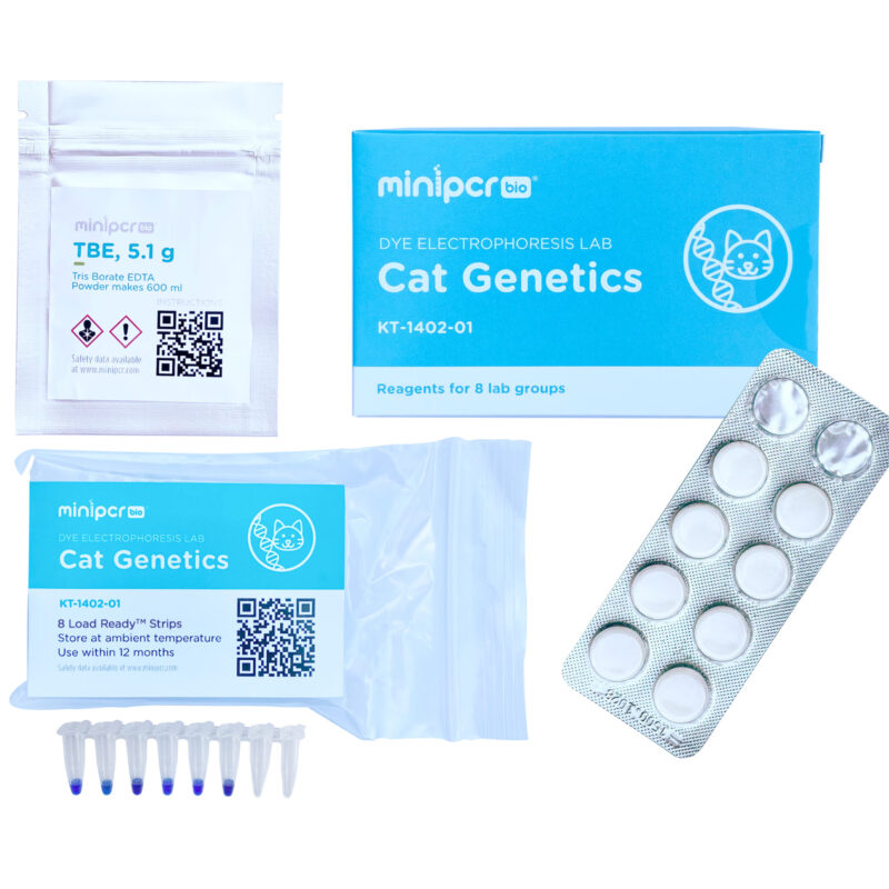 Dye Electrophoresis Lab: Cat Genetics - miniPCR bio