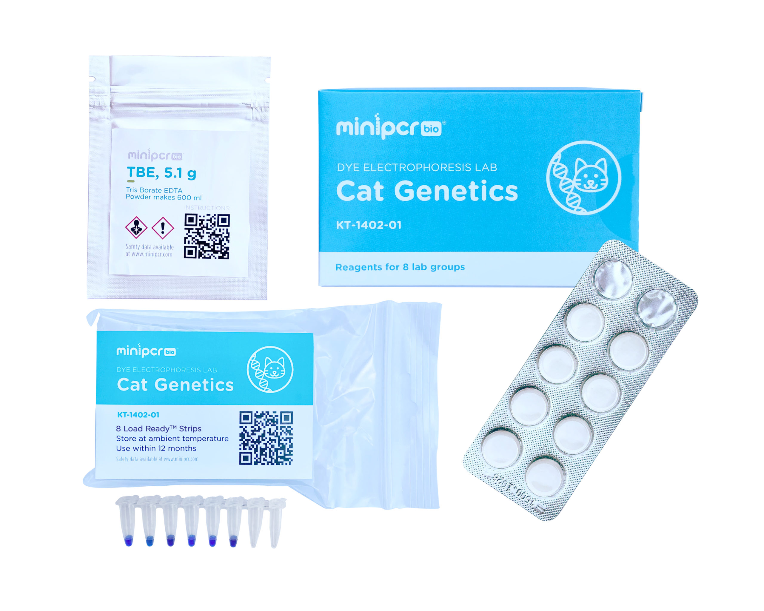 Dye Electrophoresis Lab: Cat Genetics – miniPCR bio