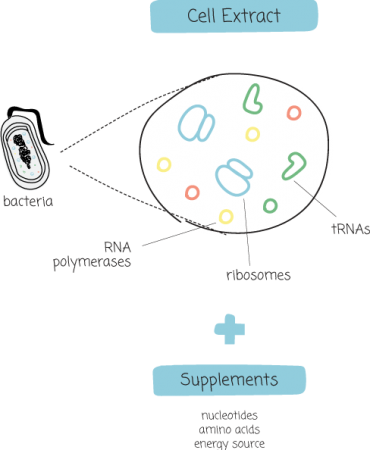 cell_extract