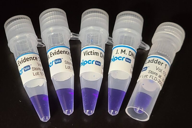 Electrophoresis Forensics Lab: Wrongfully Convicted? - miniPCR bio