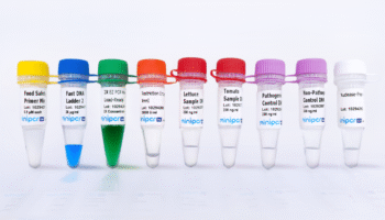 food truck_kit_1200x1200