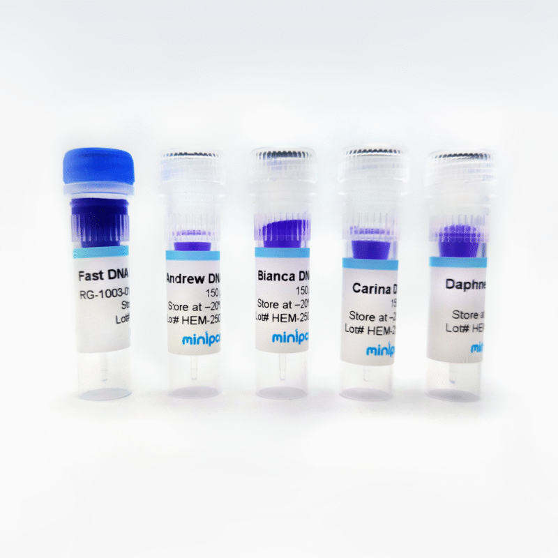 Hemophilia Genetics Lab: X-linked Inheritance – miniPCR bio