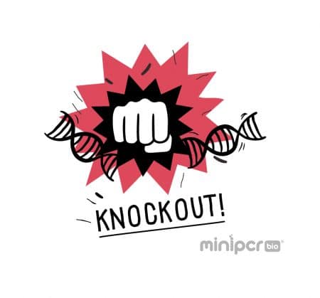 Knockout lab logo