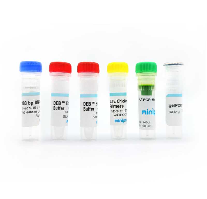tesTecollect.cite Lavender Chicken DNA Test – miniPCR bio