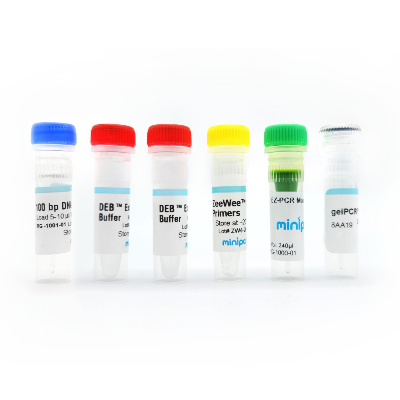 ZeeWee™ IV Bird DNA Sex Test: Emus – miniPCR bio