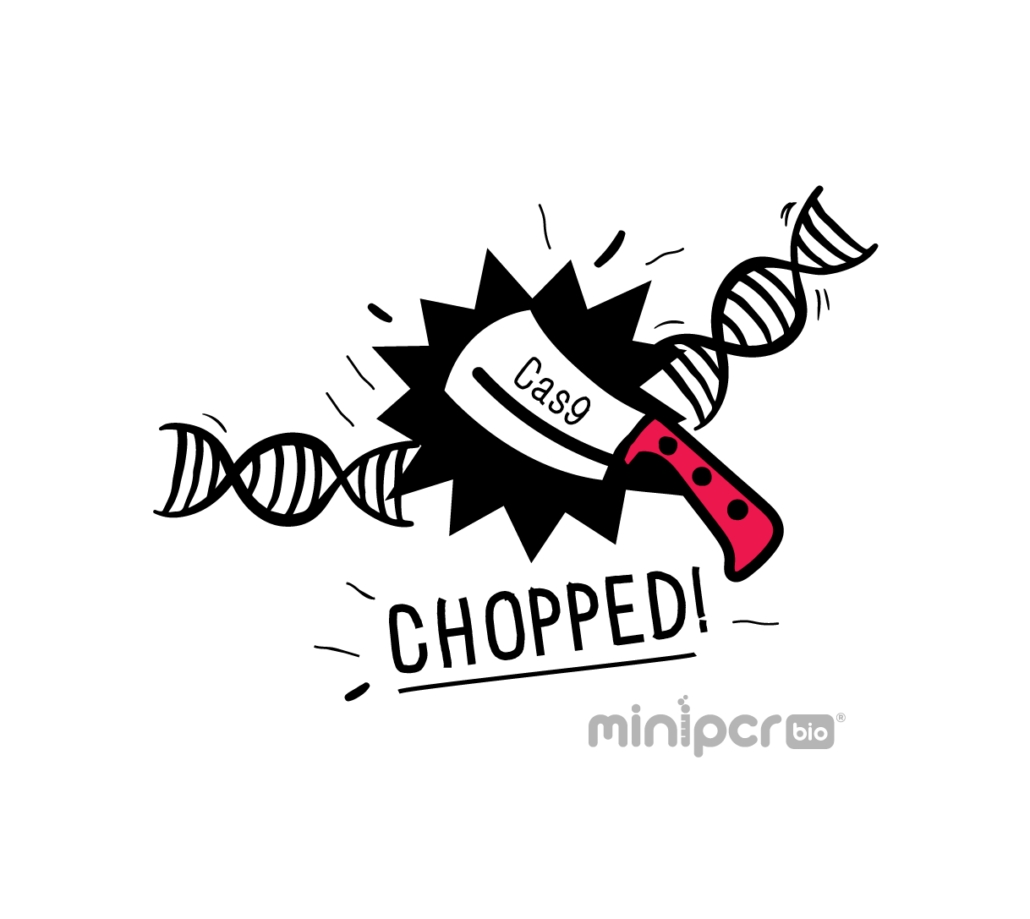 miniPCR Chopped Logo Color-01