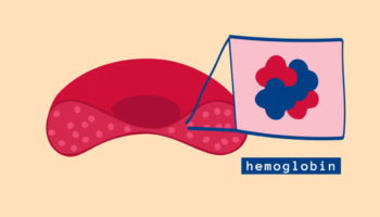 miniPCR blog thumbnails_1200x686