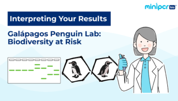 miniPCR_thumbnail_1200x686_penguinresults miniPCR_thumbnail_1200x686_penguinresults
