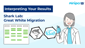 miniPCR_thumbnail_1200x686_shark_lab_results