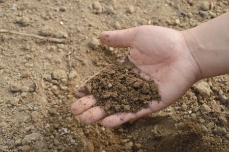 Hand picking up soil